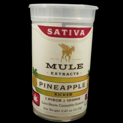 Mule - 100mg Kicker - Pineapple
